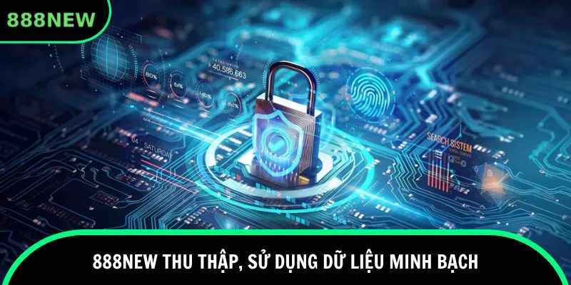 888new thu thập, sử dụng dữ liệu minh bạch
