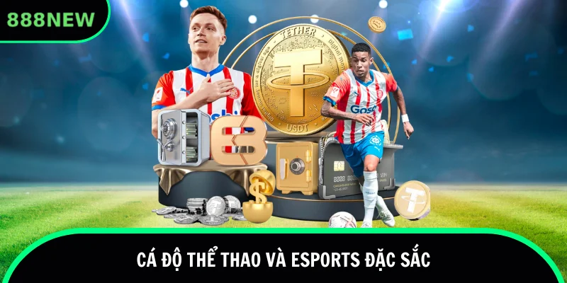 Thể thao và Esports mang đến không khí sôi động