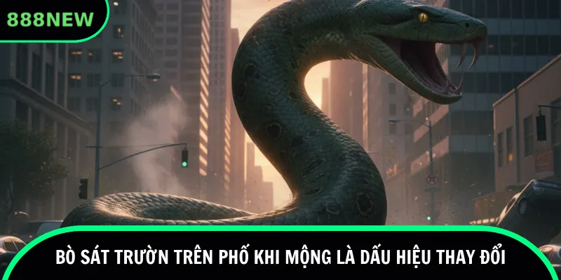 Bò sát trườn trên phố khi mộng là dấu hiệu thay đổi