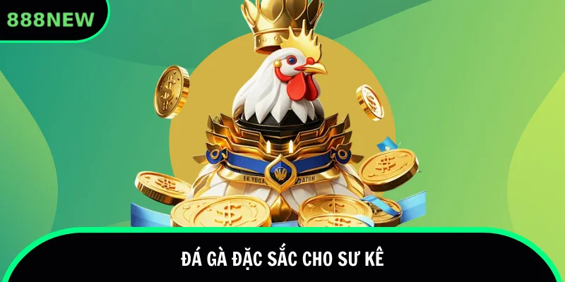 Đá gà với nhiều loại hình phổ biến