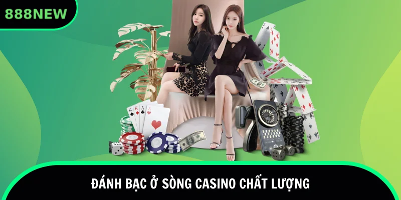 Đánh bạc trong sảnh Casino đẳng cấp