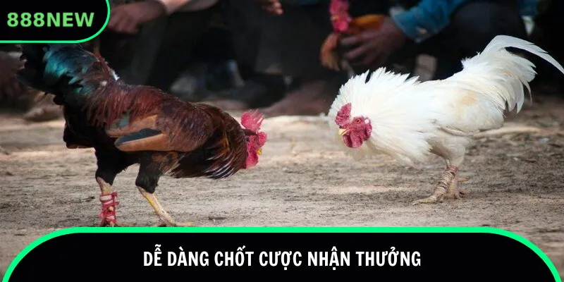 Dễ dàng chốt cược nhận thưởng