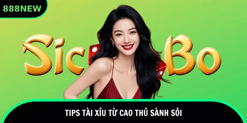 Tips tài xỉu từ cao thủ sành sỏi